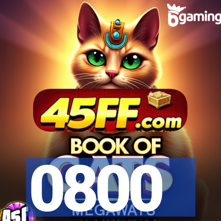 0800 - tv online